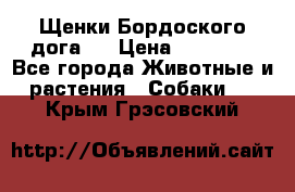 Щенки Бордоского дога.  › Цена ­ 30 000 - Все города Животные и растения » Собаки   . Крым,Грэсовский